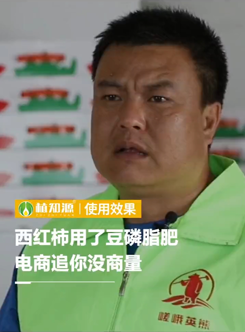 西红柿用了豆磷脂肥，电商追你没商量
