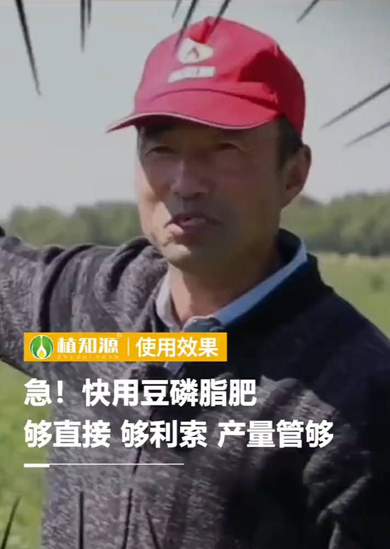 急！快用豆磷脂肥，够直接，够利索，产量管够