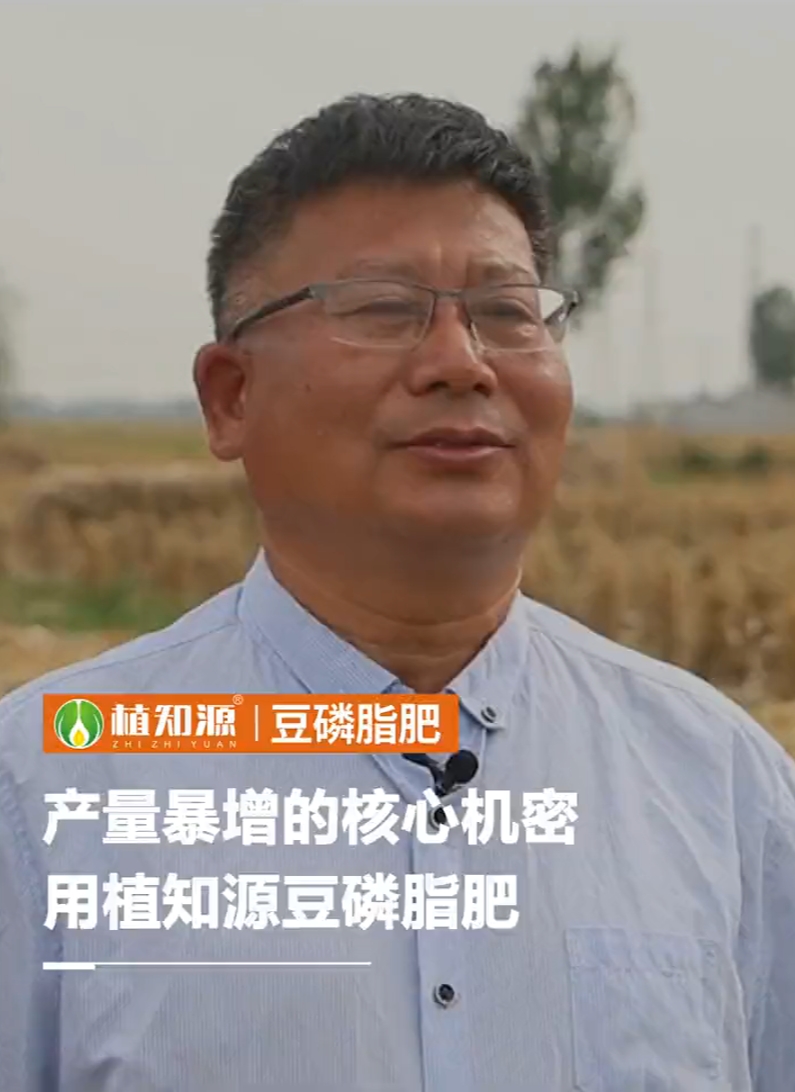 产量暴增的核心机密，用植知源豆磷脂肥