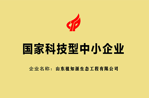 国家科技型中小企业