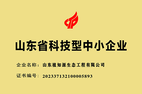 山东省科技型中小企业
