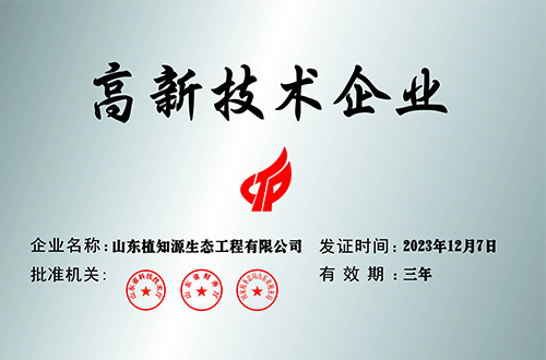 高新技术企业