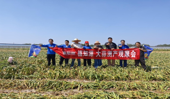亩产5200斤！豆磷脂肥助力金乡大蒜测产创纪录