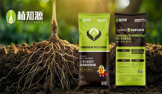 【缓盐渍、调酸碱、抗重茬、改土壤】土壤修复菌剂：豆磷脂多糖3菌