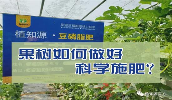 果树如何做好科学施肥？