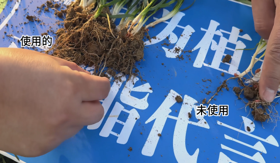 小麦大蒜用植知源，根壮穗饱、提质增产有妙招！