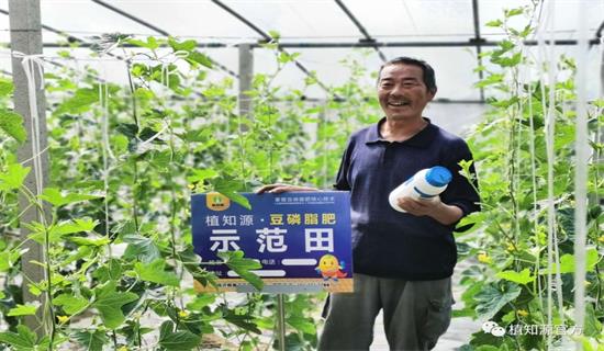 追肥的几个最佳时间点，你了解多少？