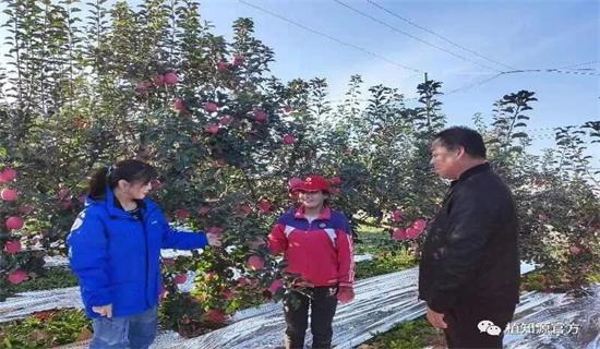 果树施肥的四大定律
