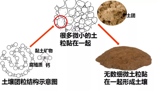 植知源豆磷脂肥：缘起 | 为什么？化肥越用越多，产量越来越低