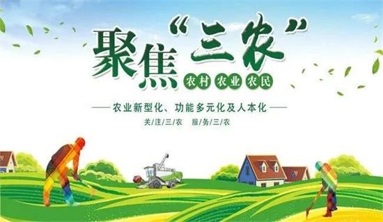 植知源 | 深秋的呼唤：农业与收获的交响曲~