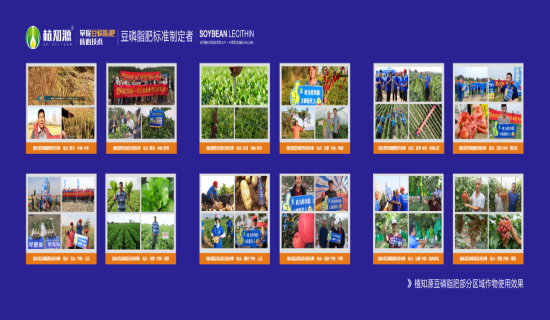 大豆油酸——植物生长的“助推器”