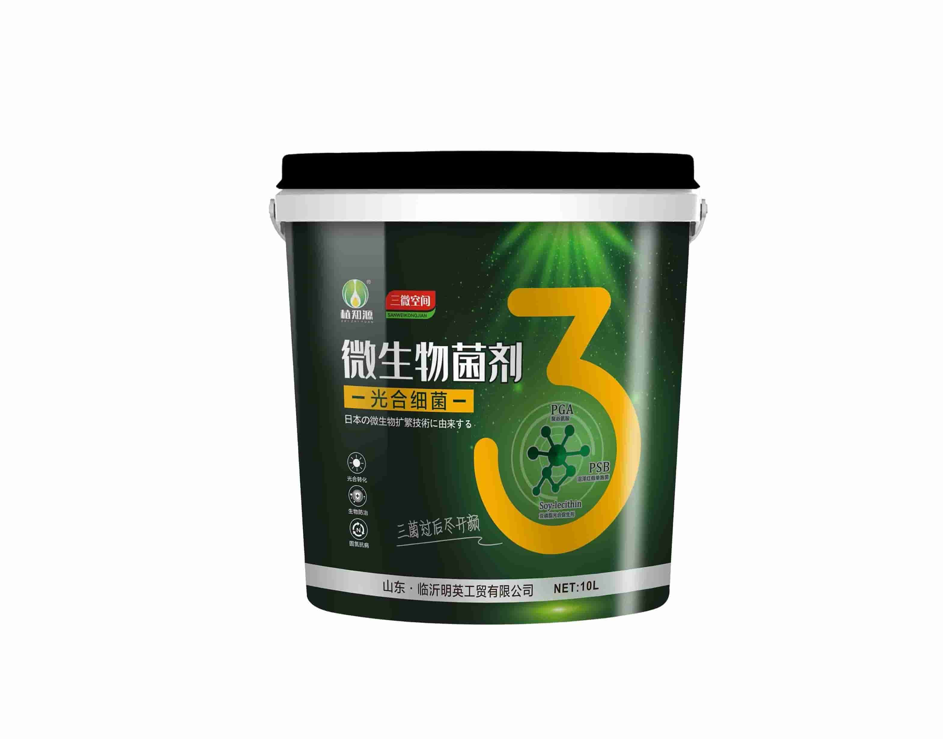 光合细菌（1）