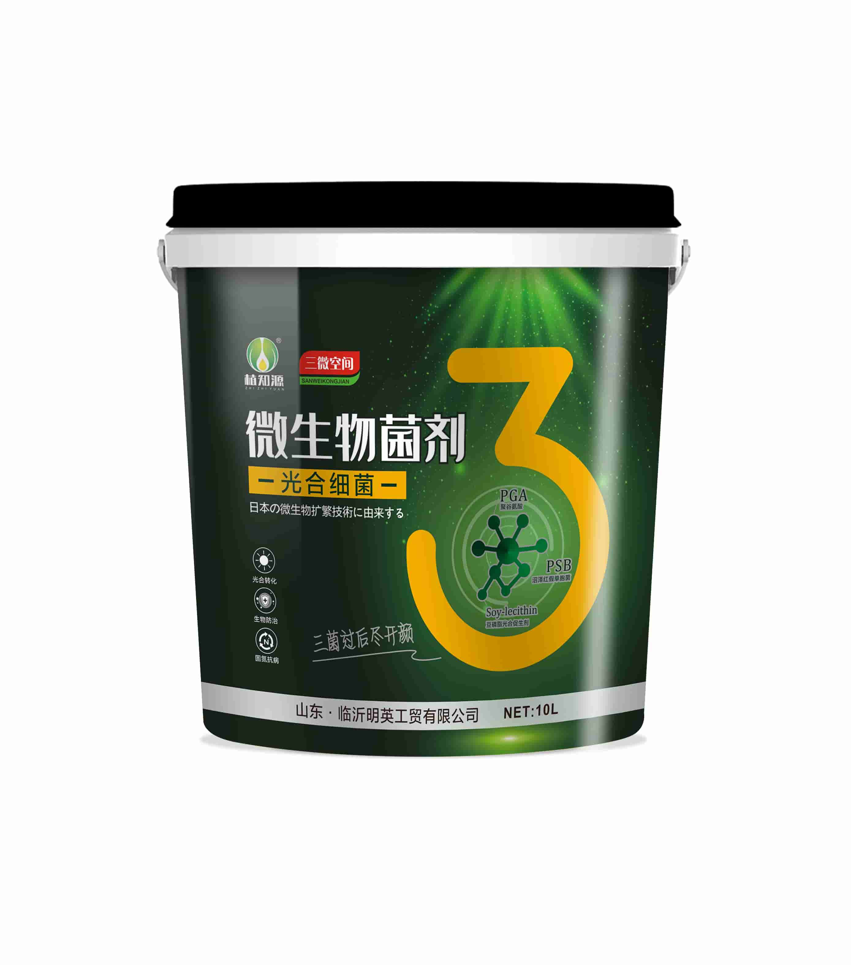 光合细菌（2）