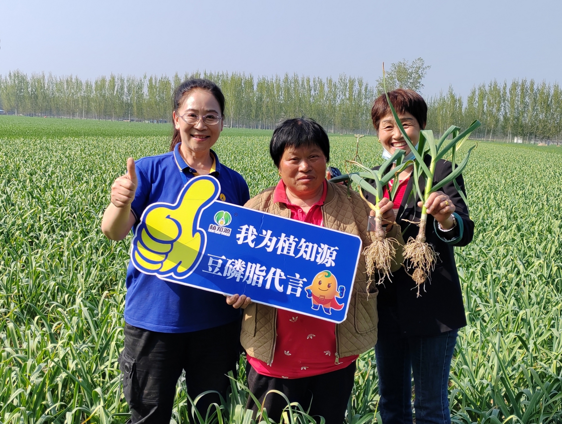 微信截图_20240913133702.png